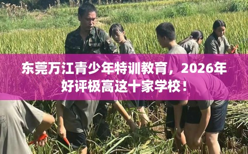 东莞万江青少年特训教育，2026年好评极高这十家学校！