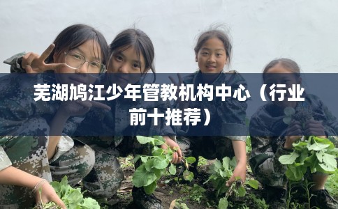 芜湖鸠江少年管教机构中心（行业前十推荐）