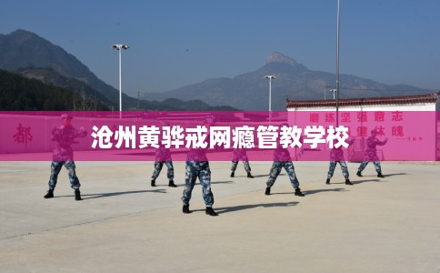 沧州黄骅戒网瘾管教学校