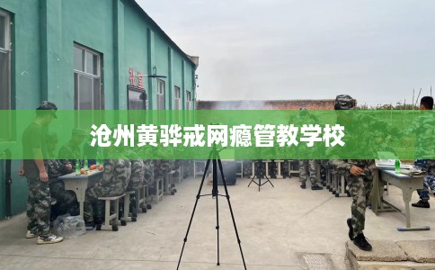 沧州黄骅戒网瘾管教学校
