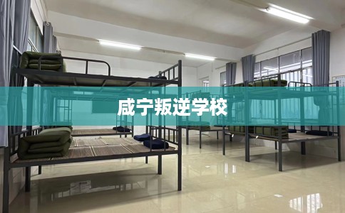 咸宁叛逆学校