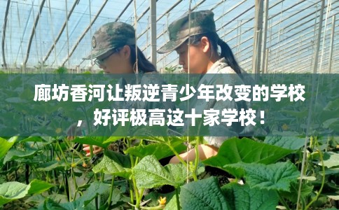 廊坊香河让叛逆青少年改变的学校，好评极高这十家学校！