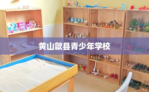 黄山歙县青少年学校