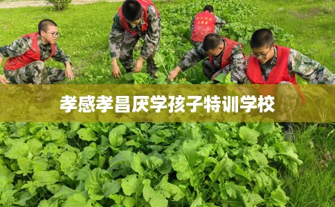 孝感孝昌厌学孩子特训学校