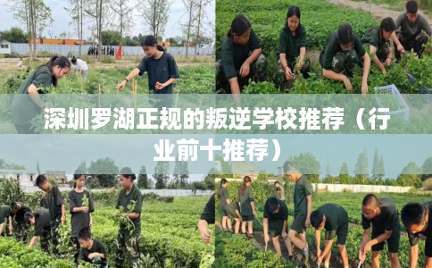 深圳罗湖正规的叛逆学校推荐（行业前十推荐）