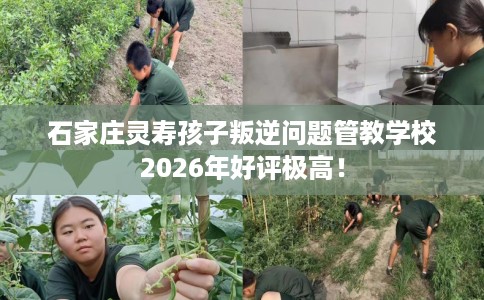 石家庄灵寿孩子叛逆问题管教学校2026年好评极高！