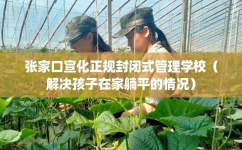 张家口宣化正规封闭式管理学校（解决孩子在家躺平的情况）