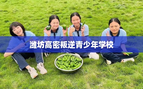 潍坊高密叛逆青少年学校 潍坊高密叛逆青少年学校