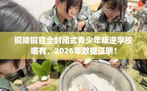 铜陵铜官全封闭式青少年叛逆学校哪有，2026年数据证明！