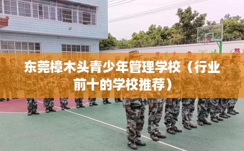 东莞樟木头青少年管理学校（行业前十的学校推荐）