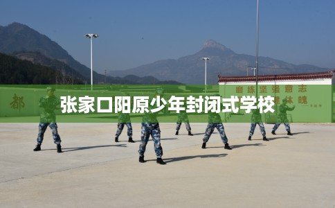 张家口阳原少年封闭式学校