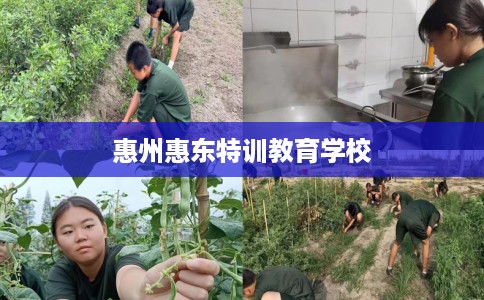 惠州惠东特训教育学校
