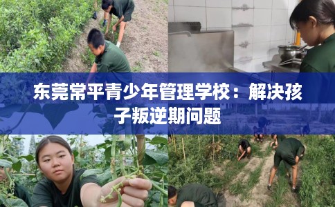 东莞常平青少年管理学校：解决孩子叛逆期问题