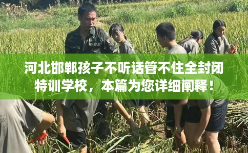 河北邯郸孩子不听话管不住全封闭特训学校，本篇为您详细阐释！