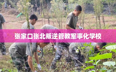 张家口张北叛逆管教军事化学校