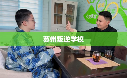 苏州叛逆学校