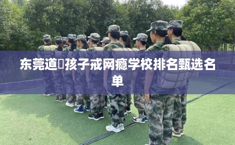 东莞道滘孩子戒网瘾学校排名甄选名单