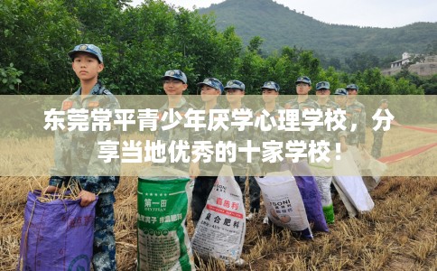 东莞常平青少年厌学心理学校，分享当地优秀的十家学校！