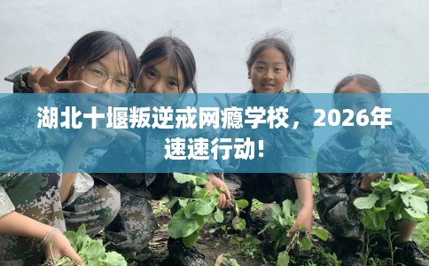湖北十堰叛逆戒网瘾学校，2026年速速行动!