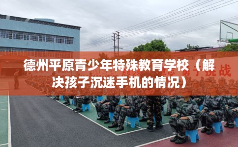 德州平原青少年特殊教育学校（解决孩子沉迷手机的情况）