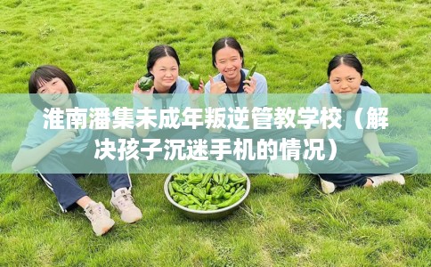 淮南潘集未成年叛逆管教学校(解决孩子沉迷手机的情况) 淮南潘集未成年叛逆管教学校(解决孩子沉迷手机的情况)