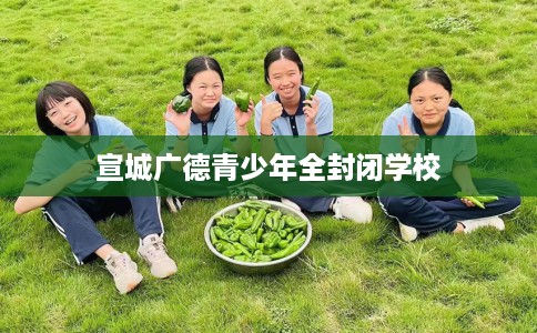 宣城广德青少年全封闭学校