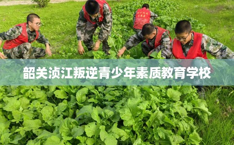 韶关浈江叛逆青少年素质教育学校