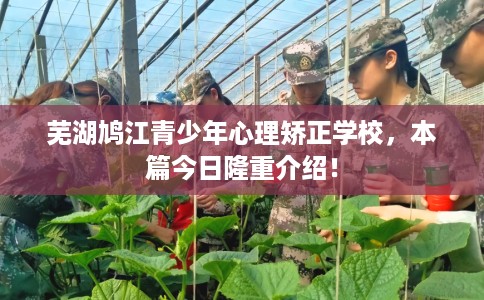 芜湖鸠江青少年心理矫正学校，本篇今日隆重介绍！