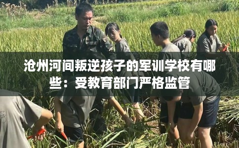 沧州河间叛逆孩子的军训学校有哪些：受教育部门严格监管