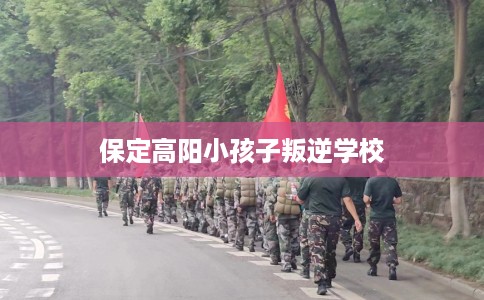 保定高阳小孩子叛逆学校