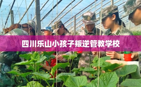 四川乐山小孩子叛逆管教学校