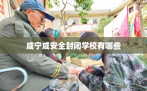 咸宁咸安全封闭学校有哪些 咸宁咸安全封闭学校有哪些