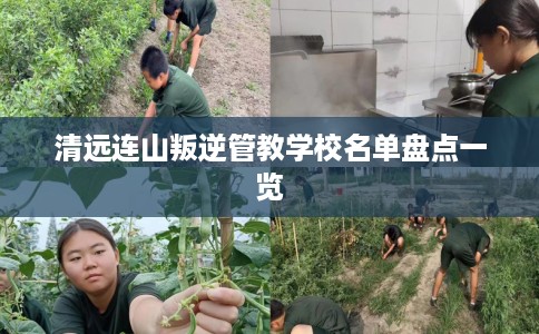 清远连山叛逆管教学校名单盘点一览