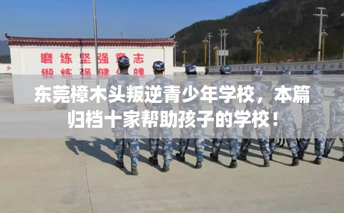 东莞樟木头叛逆青少年学校，本篇归档十家帮助孩子的学校！