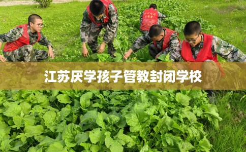 江苏厌学孩子管教封闭学校