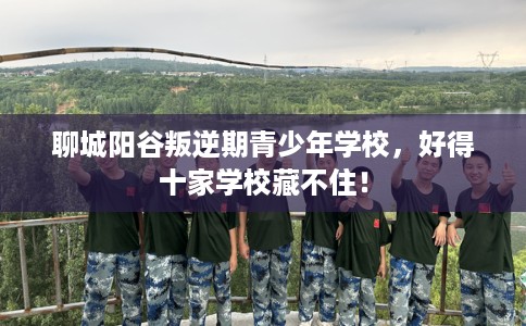 聊城阳谷叛逆期青少年学校，好得十家学校藏不住！