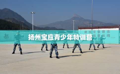 扬州宝应青少年特训营