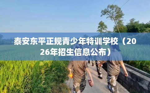 泰安东平正规青少年特训学校(2026年招生信息公布) 泰安东平正规青少年特训学校(2026年招生信息公布)