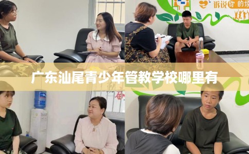 广东汕尾青少年管教学校哪里有
