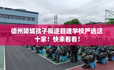 德州陵城孩子叛逆管理学校严选这十家！快来看看！