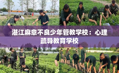 湛江麻章不良少年管教学校：心理疏导教育学校