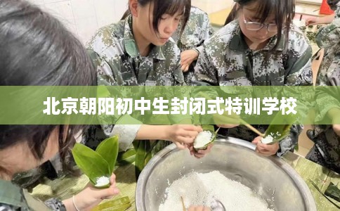 北京朝阳初中生封闭式特训学校