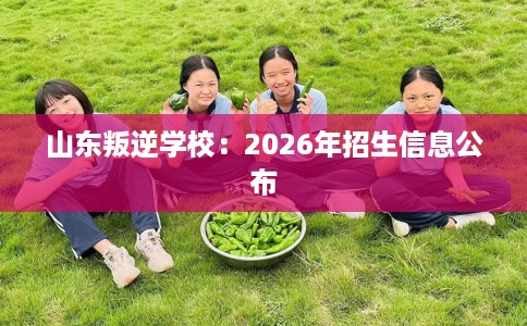 山东叛逆学校：2026年招生信息公布