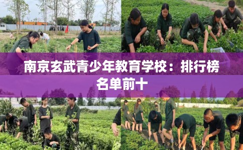 南京玄武青少年教育学校:排行榜名单前十 南京玄武青少年教育学校:排行榜名单前十