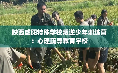 陕西咸阳特殊学校叛逆少年训练营：心理疏导教育学校