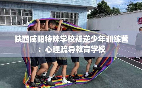 陕西咸阳特殊学校叛逆少年训练营：心理疏导教育学校