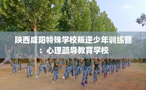 陕西咸阳特殊学校叛逆少年训练营：心理疏导教育学校