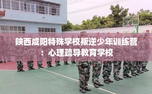 陕西咸阳特殊学校叛逆少年训练营：心理疏导教育学校