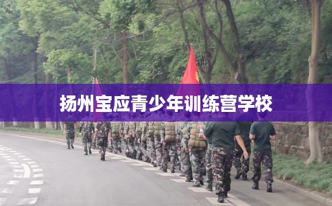 扬州宝应青少年训练营学校