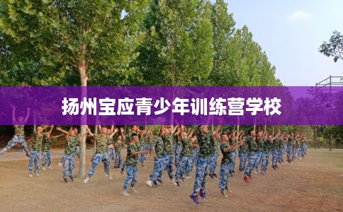 扬州宝应青少年训练营学校